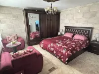 White Tulips Hotels in 