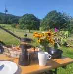 Relaxation in nature, plenty of outdoor space, hiking trails, Jacob sheep and more Hotels in Haina (Kloster)