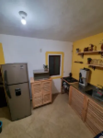 Encantadora Casa en el Centro de Coyoacán, Ideal Para Parejas y Familia Pequeña