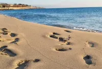 ELEGANT APARTMENT [100 METERS FROM THE SEA]