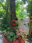 Gerards Home stay Fortkochi Double Room with Private Bathroom