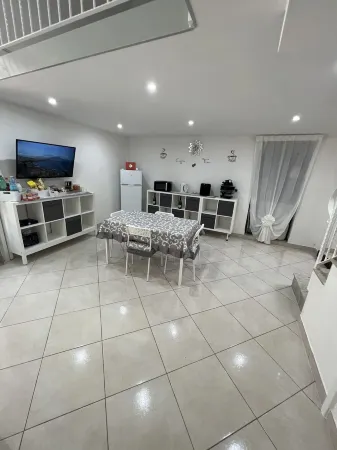 Azalea in the heart of Herculaneum