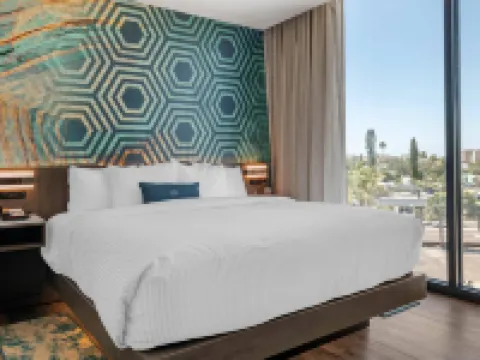 Cambria Hotel St Petersburg-Madeira Beach Marina Hotels in Madeira Beach