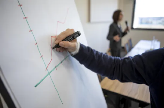 تيوليب إن بادوفا Photos