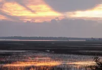 Marsh-view Cottage in the Woods: surrounded by majestic oaks, birdsong & marsh!