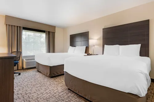 Comfort Inn & Suites Medina NY Near Erie Canal