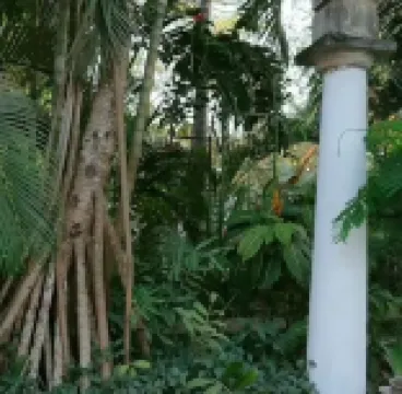 Kiota Jungle Homestay