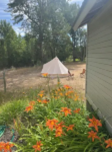 Cozy cabin on the Twisp River.  Just 5 minutes from town on Twisp River