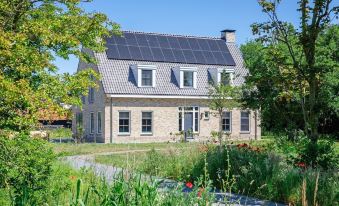 Villa on Texel Near Wadden Sea & Bird Area