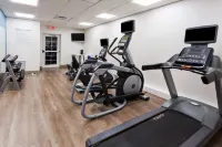 Holiday Inn Express & Suites DOTHAN NORTH by IHG - Gym