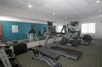 Holiday Inn Express TROUTVILLE - ROANOKE NORTH by IHG - Gym