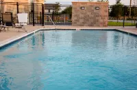 Holiday Inn Express & Suites TAYLOR by IHG - Pools