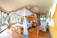 KumbuKumbu Luxury Tented Camp Hotels in Seronera