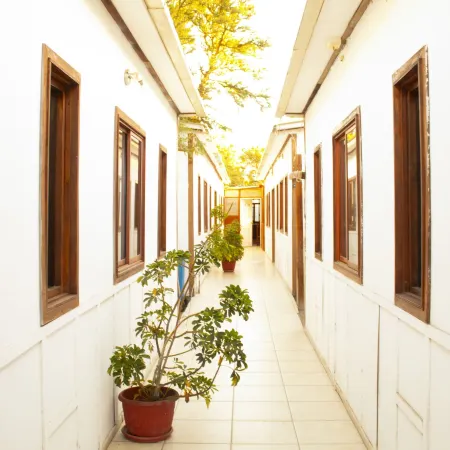 Hostal Plaza Carrera
