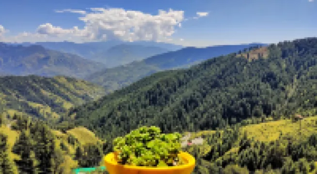 Aakarsh 民宿 - 帕哈迪美食中心