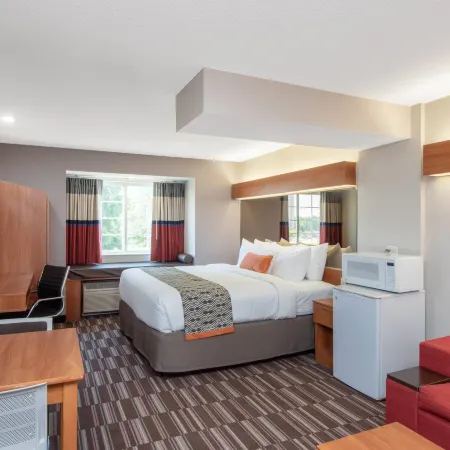 Microtel Inn & Suites by Wyndham Springfield