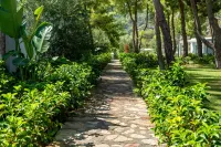 Z-Villas Beach Hotel - 別墅
