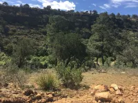 Historic Ranch House-Perfect for Family Reunions and Retreats