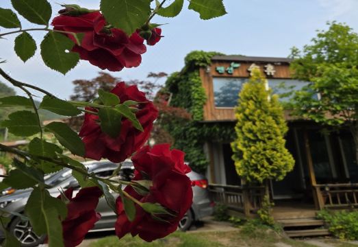 속리산 솔휴펜션