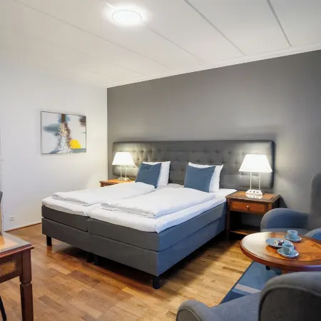 Hotel Marselis