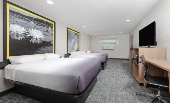 Super 8 by Wyndham Lubbock Airport