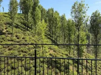 Wintel Wild - Mountain view