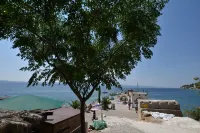 House Pine Tree - Homestays