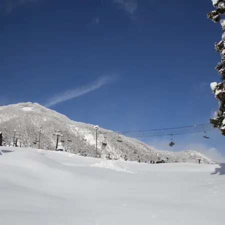 Alpine Tenshi Villa