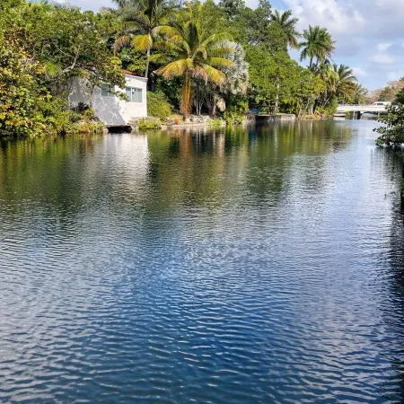 Riio Shores