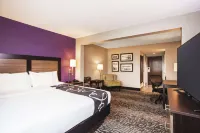 Comfort Inn & Suites Clearwater South - Pet friendly