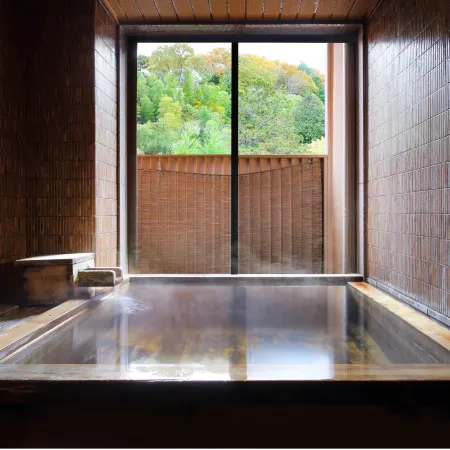 Yutagawa Onsen Tamaya