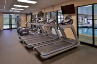 Hampton Inn & Suites Ann Arbor-West - Træningscentre