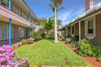Shellharbour Village Motel - Wifi