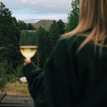 Pike National Forest Cabin Getaway with Mountain Views and Fire Pit