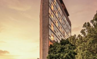Kukun Insurgentes Roma