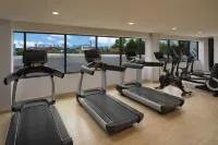 Hyatt Regency Suites Atlanta Northwest - Wifi