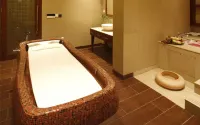Jaypee Palace Hotel - spa