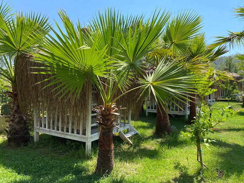 Gardenlife Göcek Hotel (Gardenlife Gocek Hotel)