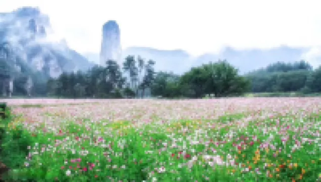 Floral Hotel·Xiandu Drunken Moxuan hotel