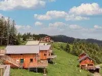 Klippitzrose