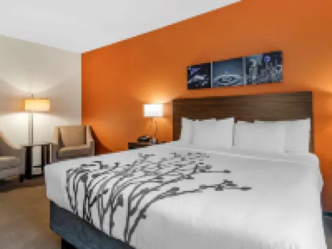 摩押-近拱門國家公園舒眠套房酒店 摩押酒店