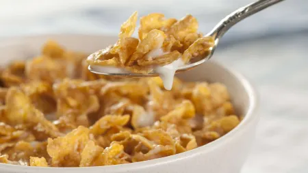 Magnuson Hotel Red Baron