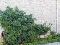 Manoleas Villas - Apartment 3 Hotels in Ditiki Mani