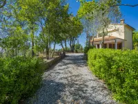 Montaleo 4