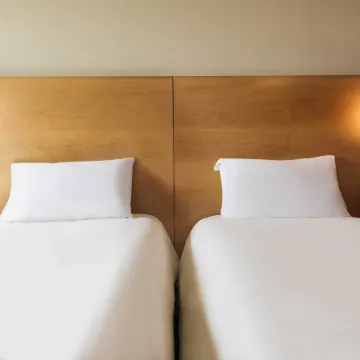 Ibis Muscat
