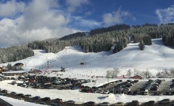 Cottage at the Foot of the Ski Slopes with Mountain Views - Chalet Nelda