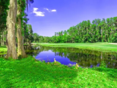TampaGolfVillas by AmericanVacationLiving 7 Room Hotels in Wesley Chapel South