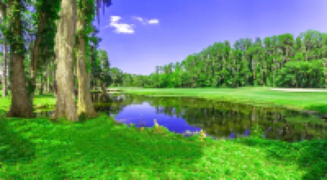 TampaGolfVillas by AmericanVacationLiving 7 Room