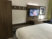 Holiday Inn Express Naples South - I-75 Hotels in Lely Resort