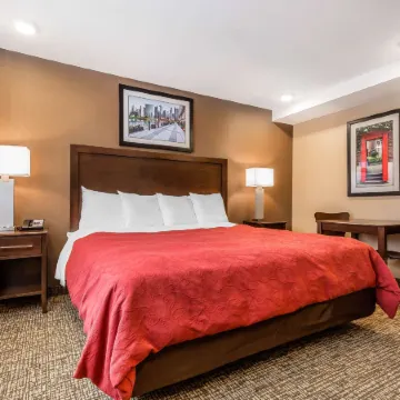Rodeway Inn Chicago/Evanston